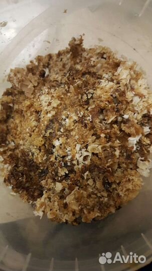 Мёд 2022 разнотравье#забрус#прополис