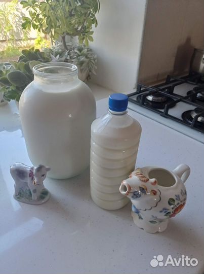 Молочные продукты