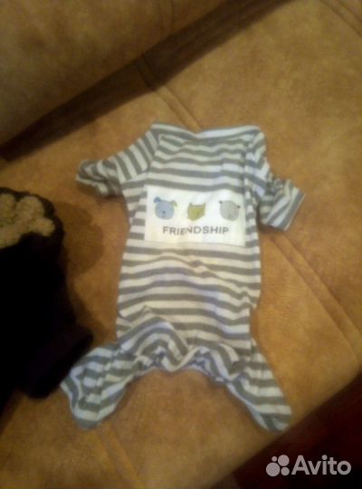 Куртка на собаку