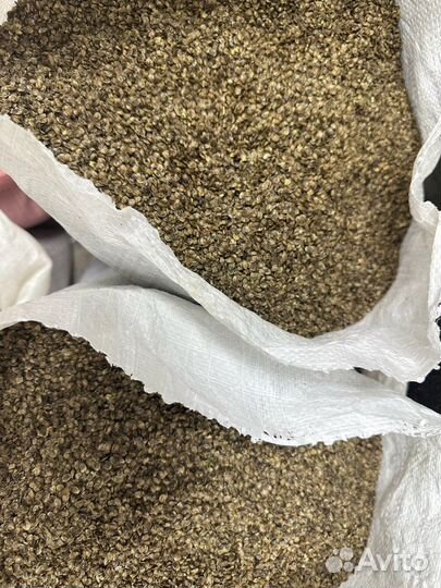 Прикормка для рыб конопляная (конопляный жмых)