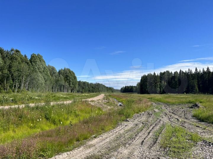 Участок 9,8 сот. (СНТ, ДНП)