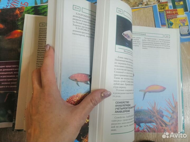 Аквариумные рыбки, растения и т.д