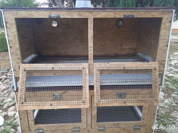 Брудер для цыплят