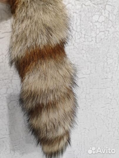 Лисий хвост