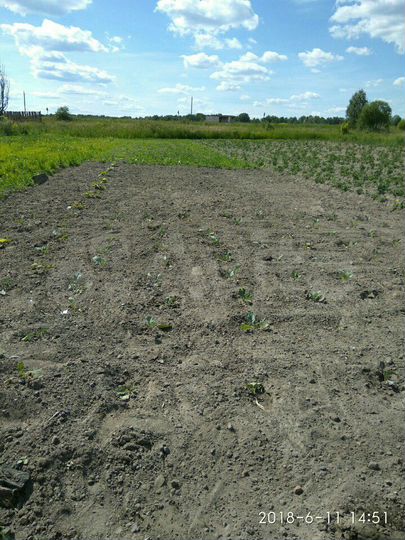 Участок 38 сот. (ИЖС)