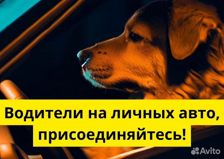 Подключай свой автомобиль к Яндекс Go