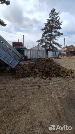 Навоз крс, перегной