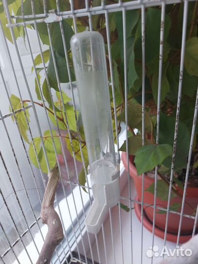 Клетка для волнистого попугая