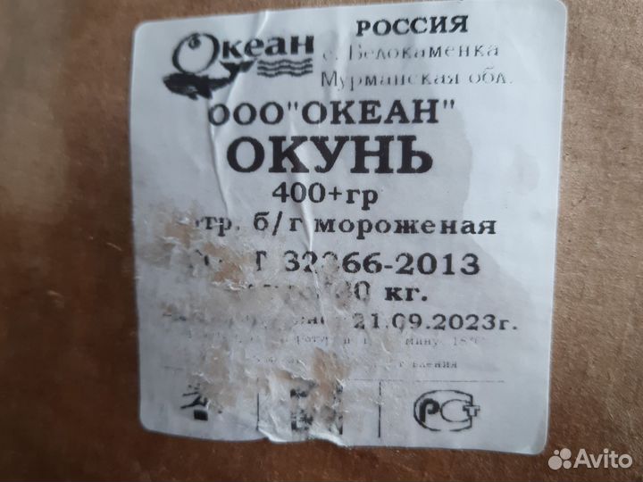 Окунь золотистый морской