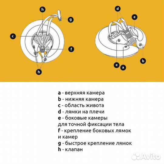 Круг swimtrainer