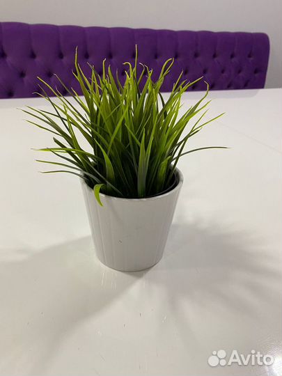 Декоративные