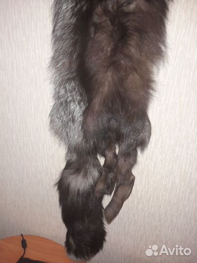 Продаю шкуру лисы