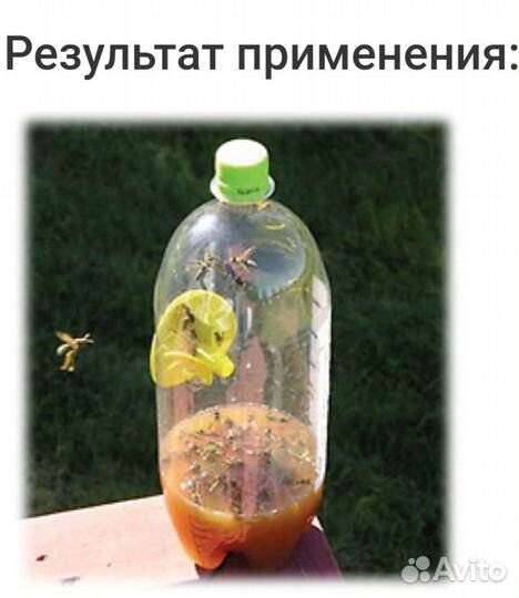 Ловушки argus от мух, ос, пчёл