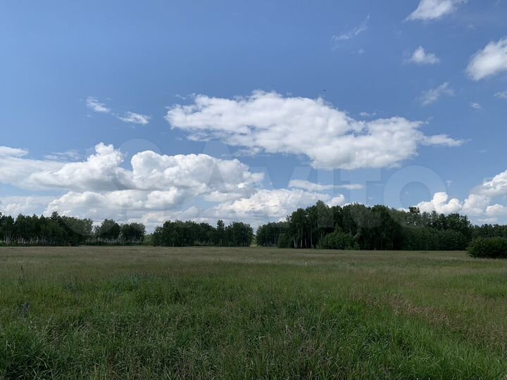 Участок 23 га (СНТ, ДНП)