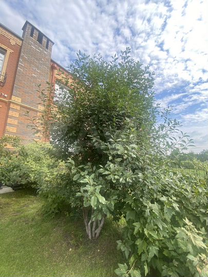 Таунхаус 78 м² на участке 2,5 сот.