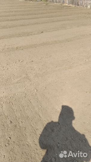 Вспашка земли трактором