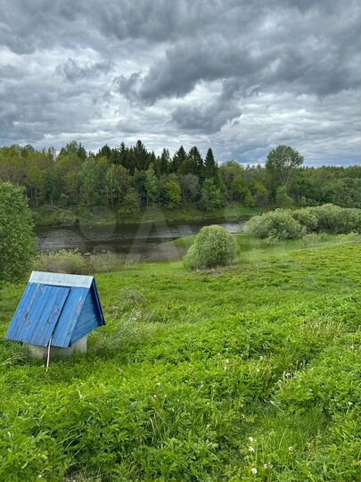 Участок 36 сот. (ИЖС)