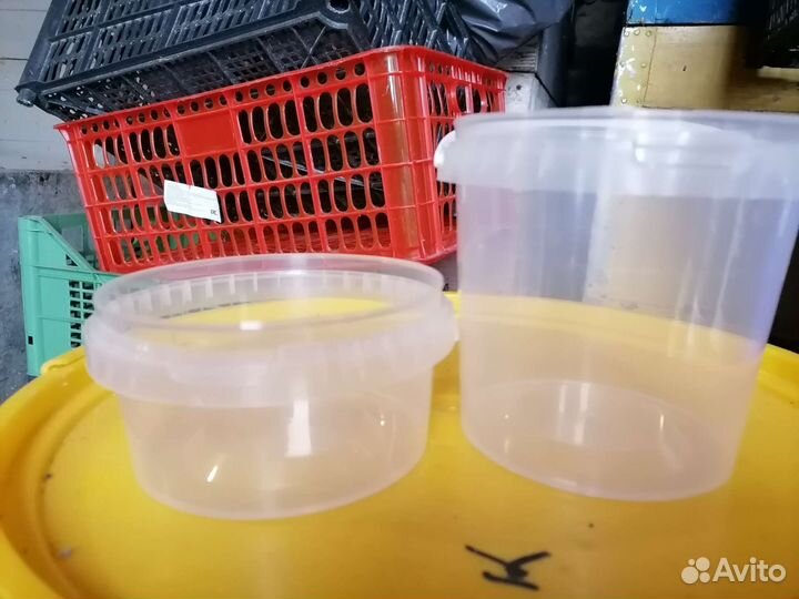 Пластиковые ведерки для меда
