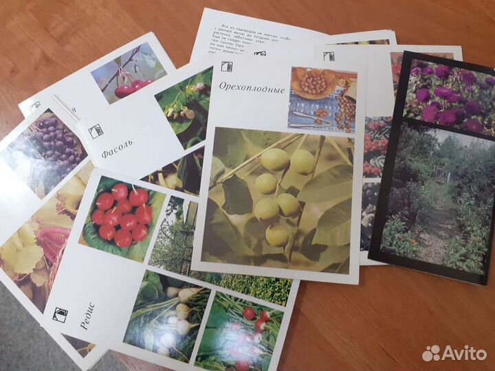 Набор открыток СССР