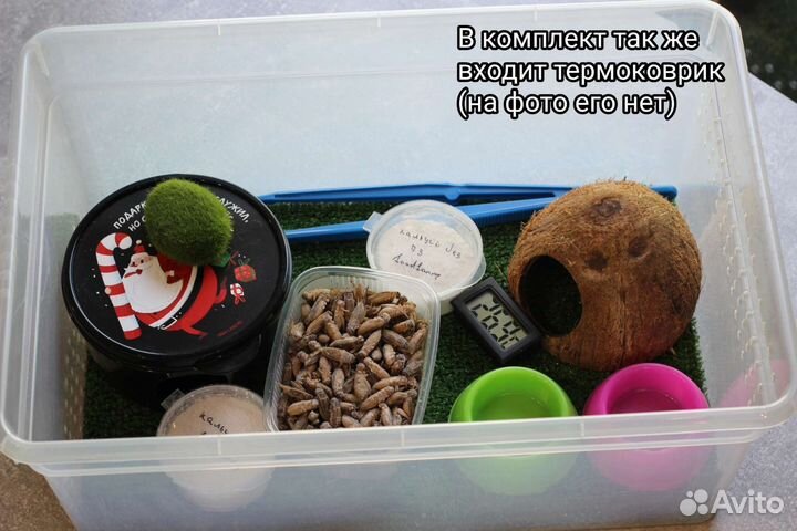 Комплект, набор для содержания эублефара, рептилий