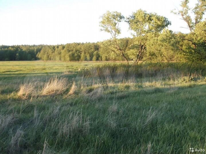 Участок 1,28 га (ИЖС)