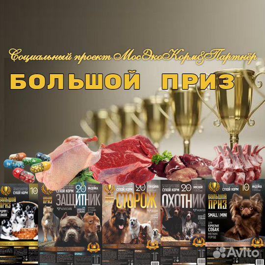 Корм для собак премиум социальная программа