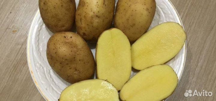 Картофель бриз бесплатная доставка