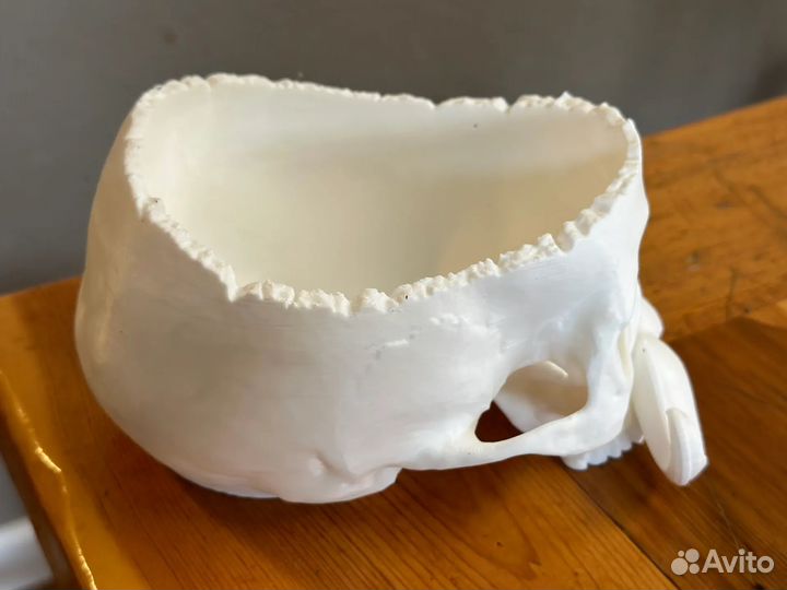 Усатый череп Подставка под конфеты