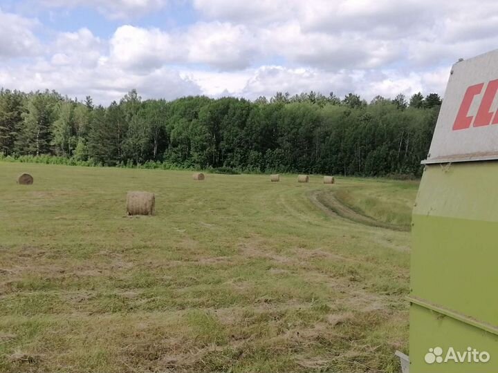 Продам сено в рулонах 2023