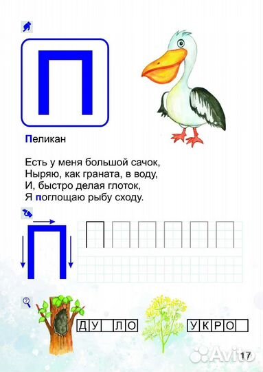 Мой птичий алфавит