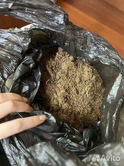 Набор для улиток