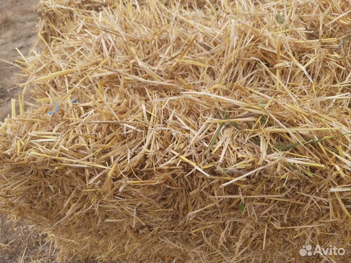 Солома ячменная в тюках