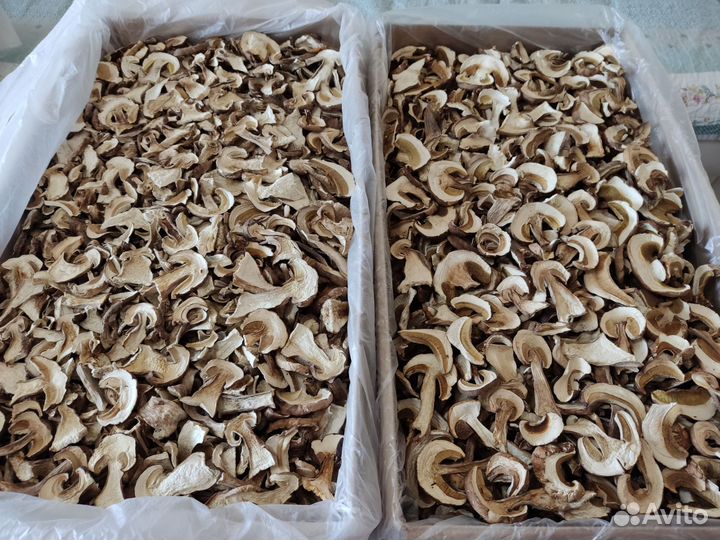 Сухие белые грибы