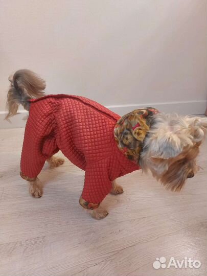 Пошив одежды для маленьких собачек