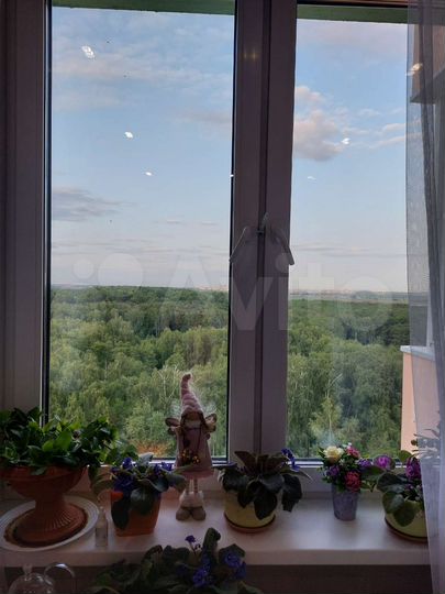 1-к. квартира, 35,1 м², 13/17 эт.