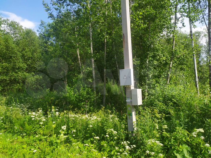 Участок 10 сот. (СНТ, ДНП)