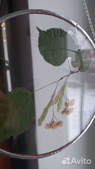 Рамка с гербарием, картина, декор для дома