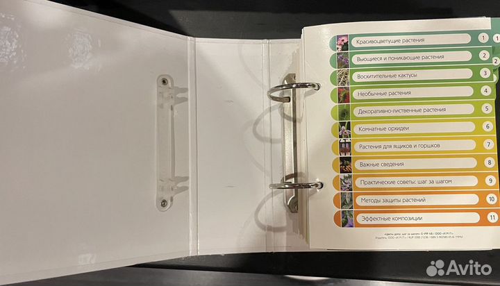 Книга цветы дома