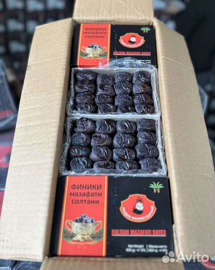 Финики иранские 