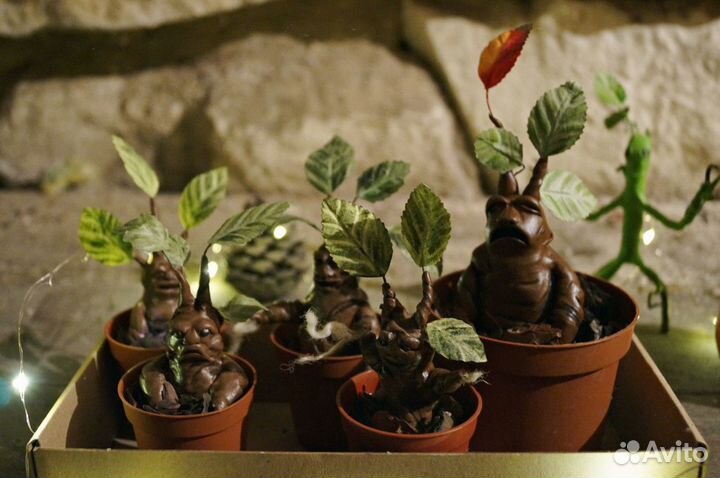 Мандрагора из «Гарри Поттера»