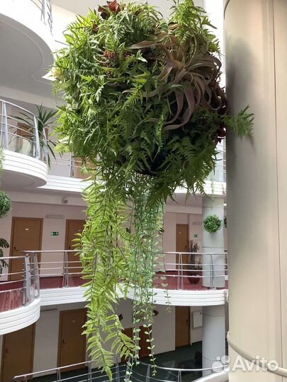 Искусственные цветы самшит кокедама подвес кашпо