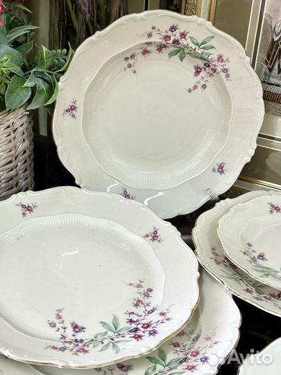 Тарелки Schirding