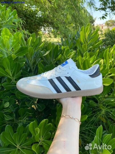 Кроссовки Adidas Spezial Samba munhen (Арт.59328)