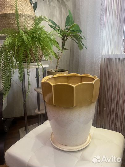 Керамический горшок для цветов напольный