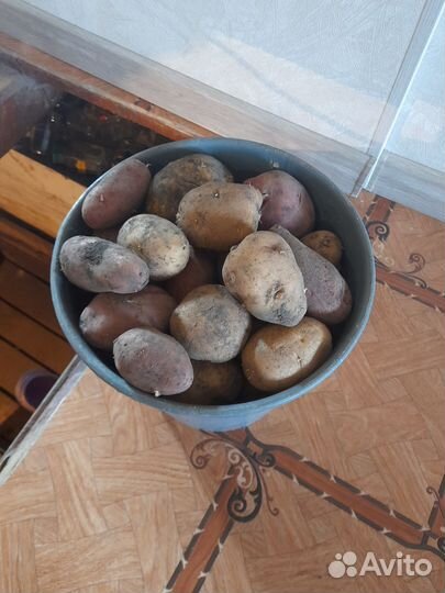 Продам картофель домашний