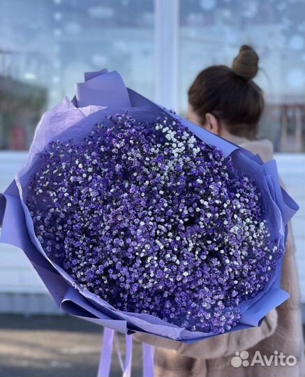 Гипсофила Букет Цветы Доставка 24/7