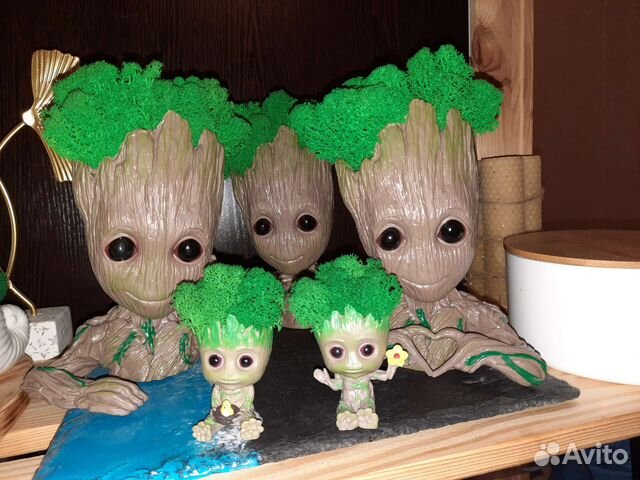 Кашпо с мхом, кашпо, Грут