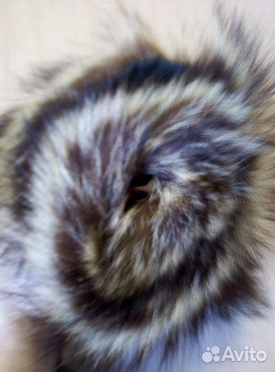 Воротник мех енот натуральный