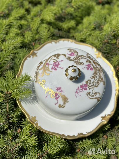 Масленка гдр