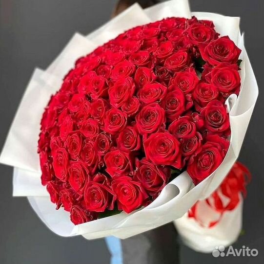 101 роза цветы букеты доставка 25 51 101 роза